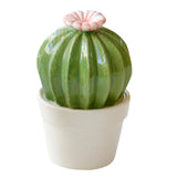 Maxbell Ceramic Succulent Cactus Figurine Home Cabinet Table Cabinet Decoration A - Aladdin Shoppers