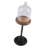 Maxbell Clear Cake Stand Cupcake Plate Cake Dome Lid Display high Light caffeine - Aladdin Shoppers