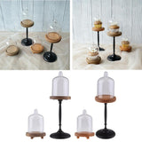 Maxbell Clear Cake Stand Cupcake Plate Cake Dome Lid Display Low Light caffeine - Aladdin Shoppers