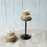 Maxbell Clear Cake Stand Cupcake Plate Cake Dome Lid Display Low Light caffeine - Aladdin Shoppers