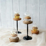 Maxbell Clear Cake Stand Cupcake Plate Cake Dome Lid Display Low Light caffeine - Aladdin Shoppers