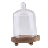 Maxbell Clear Cake Stand Cupcake Plate Cake Dome Lid Display Low Light caffeine - Aladdin Shoppers