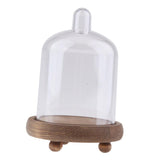 Maxbell Clear Cake Stand Cupcake Plate Cake Dome Lid Display Low Light caffeine - Aladdin Shoppers