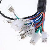 Maxbell Complete Electrics All Wiring Harness Assembly for Motorbike Scooter - Aladdin Shoppers