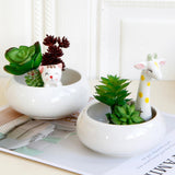 Maxbell Creative Cute Ceramic Flower Pot Succulent Plant Container White Cat - Aladdin Shoppers