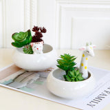 Maxbell Creative Cute Ceramic Flower Pot Succulent Plant Container White Cat - Aladdin Shoppers