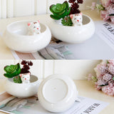 Maxbell Creative Cute Ceramic Flower Pot Succulent Plant Container White Cat - Aladdin Shoppers