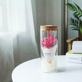 Maxbell Creative Gypsophila Flowers Glass Jar Cover Landscape LED Light Decor Pink - Aladdin Shoppers