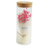 Maxbell Creative Gypsophila Flowers Glass Jar Cover Landscape LED Light Decor Pink - Aladdin Shoppers