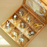 Maxbell Desktop Storage Organizer Caddy Tray with Clear Lid 9 Compartment Gift Box - Aladdin Shoppers