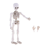 Maxbell Dollhouse Miniature 8.7cm Skeleton Doll Mini Action Figures Toy Party Favors Trick Toy Kids Playset - Aladdin Shoppers