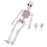 Maxbell Dollhouse Miniature 8.7cm Skeleton Doll Mini Action Figures Toy Party Favors Trick Toy Kids Playset - Aladdin Shoppers