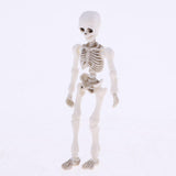 Maxbell Dollhouse Miniature 8.7cm Skeleton Doll Mini Action Figures Toy Party Favors Trick Toy Kids Playset - Aladdin Shoppers
