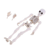 Maxbell Dollhouse Miniature 8.7cm Skeleton Doll Mini Action Figures Toy Party Favors Trick Toy Kids Playset - Aladdin Shoppers