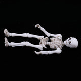 Maxbell Dollhouse Miniature 8.7cm Skeleton Doll Mini Action Figures Toy Party Favors Trick Toy Kids Playset - Aladdin Shoppers