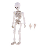 Maxbell Dollhouse Miniature 8.7cm Skeleton Doll Mini Action Figures Toy Party Favors Trick Toy Kids Playset - Aladdin Shoppers