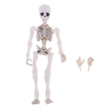 Maxbell Dollhouse Miniature 8.7cm Skeleton Doll Mini Action Figures Toy Party Favors Trick Toy Kids Playset - Aladdin Shoppers