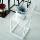 Maxbell Home Decor Rectangular Display Stand for Plants Art Crafts White 13.5cm - Aladdin Shoppers