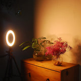 Maxbell LED Ring Fill Light with USB Plug Dimmable Lighting Kit for Makeup - Aladdin Shoppers