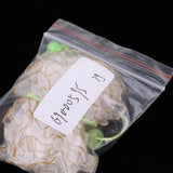 Maxbell Lovely Bowknot Flower Hair Band Rope for Doll Children Makeup White Flower - Aladdin Shoppers