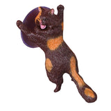 Maxbell Lovely Cat Model Sucker Cellphone Bracket Holder Finger Grip Mount Coffee - Aladdin Shoppers