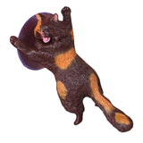 Maxbell Lovely Cat Model Sucker Cellphone Bracket Holder Finger Grip Mount Coffee - Aladdin Shoppers