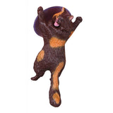 Maxbell Lovely Cat Model Sucker Cellphone Bracket Holder Finger Grip Mount Coffee - Aladdin Shoppers