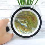 Maxbell Magnification 30X Round Lens Handheld Magnifier Glass for Reading Science - Aladdin Shoppers