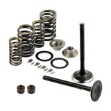 Maxbell Motorcycle Complete Valve Assembly Kit for 125cc 150cc GY6 4-Stroke Motor - Aladdin Shoppers