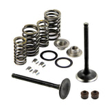 Maxbell Motorcycle Complete Valve Assembly Kit for 125cc 150cc GY6 4-Stroke Motor - Aladdin Shoppers