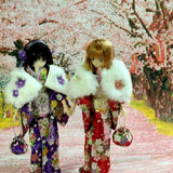 Maxbell New Backdrop Background Backcloth for Doll Photography Accs Decor 0.5x0.9 - Aladdin Shoppers