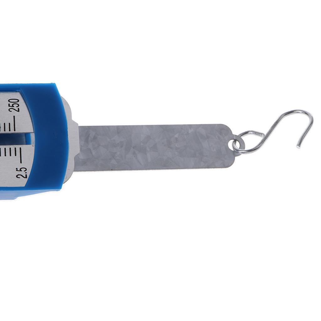 ⚡️Buy Maxbell Physical Laboratory Scales 2.5N Newton Spring Dynamometer ...