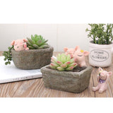 Maxbell Pig Planter Flower Pots Succulent Planter Flowerpot Decor for Home Office - Aladdin Shoppers