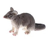 Maxbell Realistic PVC Wild Animal Model Figurine Action Figures Playset Kids Educational Toy Collectibles –Possum - Aladdin Shoppers