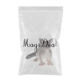Maxbell Realistic PVC Wild Animal Model Figurine Action Figures Playset Kids Educational Toy Collectibles –Possum - Aladdin Shoppers