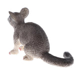 Maxbell Realistic PVC Wild Animal Model Figurine Action Figures Playset Kids Educational Toy Collectibles –Possum - Aladdin Shoppers