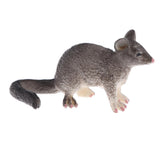 Maxbell Realistic PVC Wild Animal Model Figurine Action Figures Playset Kids Educational Toy Collectibles –Possum - Aladdin Shoppers