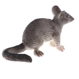 Maxbell Realistic PVC Wild Animal Model Figurine Action Figures Playset Kids Educational Toy Collectibles –Possum - Aladdin Shoppers