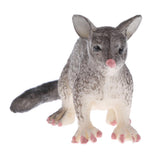 Maxbell Realistic PVC Wild Animal Model Figurine Action Figures Playset Kids Educational Toy Collectibles –Possum - Aladdin Shoppers