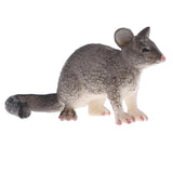 Maxbell Realistic PVC Wild Animal Model Figurine Action Figures Playset Kids Educational Toy Collectibles –Possum - Aladdin Shoppers