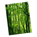 Maxbell Rectangle Digital Printed Decor Tablecloth Green Jungle - Aladdin Shoppers