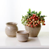 Maxbell Retro Style White Ceramic Flower Pot Succulent Plant Container - Aladdin Shoppers