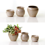 Maxbell Retro Style White Ceramic Flower Pot Succulent Plant Container - Aladdin Shoppers