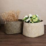 Maxbell Seagrass Belly Basket Flower Planter Toy or Laundry Storage Basket Gray L - Aladdin Shoppers
