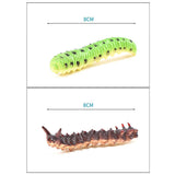 Maxbell Simulated Toys Tricky Toys Kids Educational Model Toys Gifts Caterpillar - Aladdin Shoppers