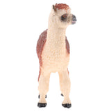 Maxbell Simulation Wildlife Alpaca Animal Model Action Figures Toys Kid Educational Toy Home Office Collectibles Decoration - Aladdin Shoppers