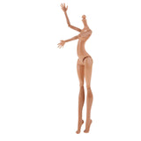 Maxbell Stylish Nude Doll Body Modern Girl Model Toy For Monster High Dolls 5 Pieces - Aladdin Shoppers
