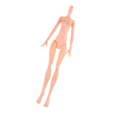 Maxbell Stylish Nude Doll Body Modern Girl Model Toy For Monster High Dolls 5 Pieces - Aladdin Shoppers