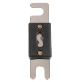 Pack Of 10 Nickel Plated Car ANL Blade Fuses Audio Electrical Protect 120A - Aladdin Shoppers