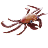 Plastic Realistic Wildlife Jungle Forest Animals Crab Action Figure Toys Playset, Kids Toddler Nature Toys Home Decor Collectibles - Aladdin Shoppers